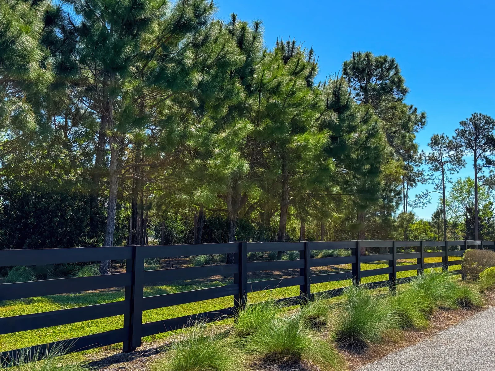 A tree-lined path beside a fence in Horizon West